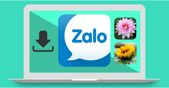 Cách lấy, tải nhiều ảnh từ Zalo về máy tính cực dễ, ai cũng làm được